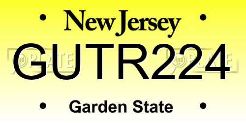 GUTR224 New Jersey License Plate