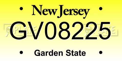 GV08225 New Jersey License Plate