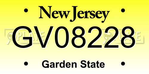 GV08228 New Jersey License Plate
