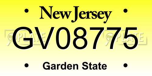 GV08775 New Jersey License Plate