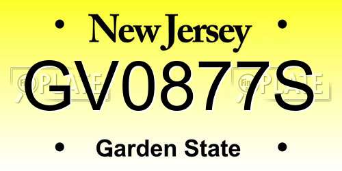 GV0877S New Jersey License Plate