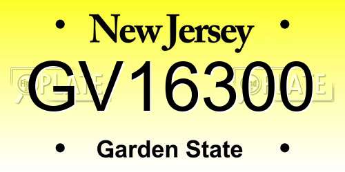 GV16300 New Jersey License Plate