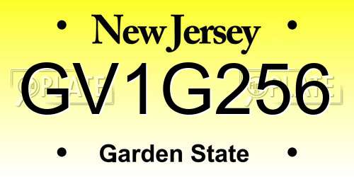GV1G256 New Jersey License Plate