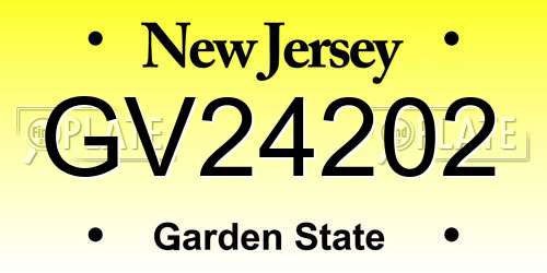 GV24202 New Jersey License Plate