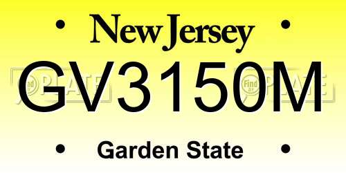 GV3150M New Jersey License Plate
