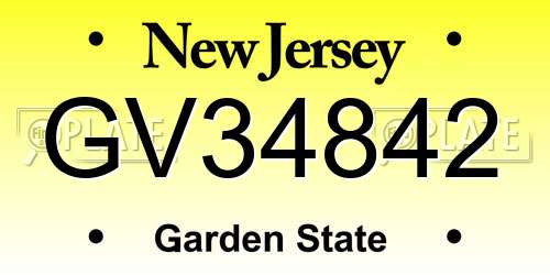 GV34842 New Jersey License Plate
