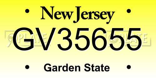 GV35655 New Jersey License Plate