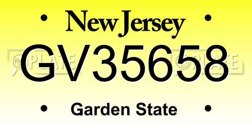 GV35658 New Jersey License Plate