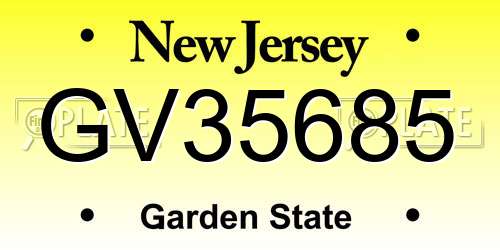 GV35685 New Jersey License Plate