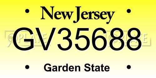 GV35688 New Jersey License Plate
