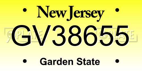 GV38655 New Jersey License Plate