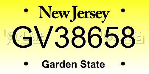 GV38658 New Jersey License Plate