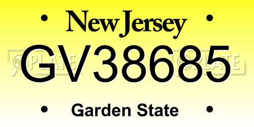 GV38685 New Jersey License Plate