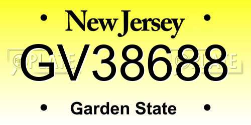GV38688 New Jersey License Plate