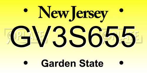 GV3S655 New Jersey License Plate