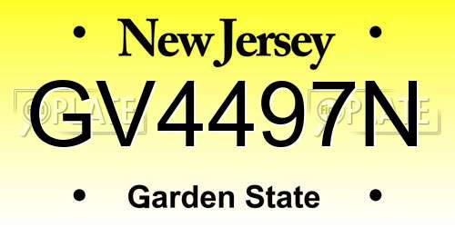 GV4497N New Jersey License Plate
