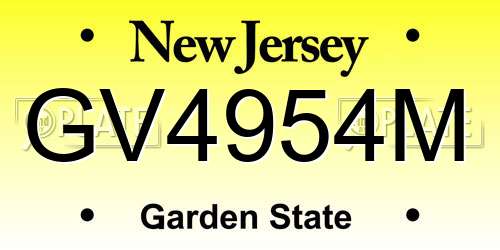 GV4954M New Jersey License Plate