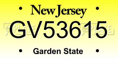 GV53615 New Jersey License Plate