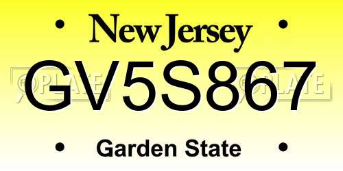 GV5S867 New Jersey License Plate