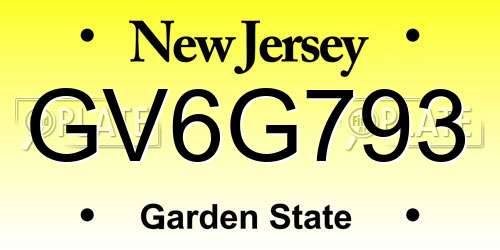 GV6G793 New Jersey License Plate