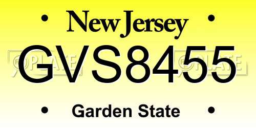 GVS8455 New Jersey License Plate