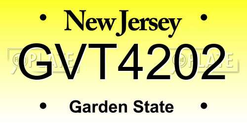 GVT4202 New Jersey License Plate