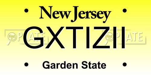 GXTIZII New Jersey License Plate