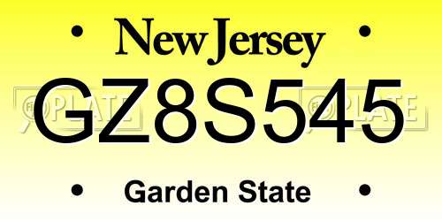 GZ8S545 New Jersey License Plate