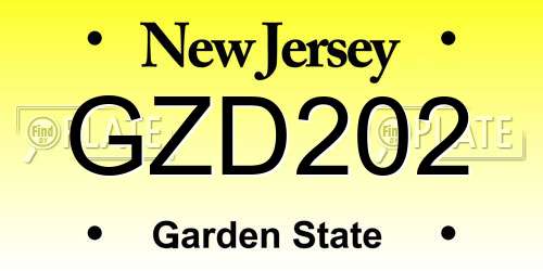 GZD202 New Jersey License Plate