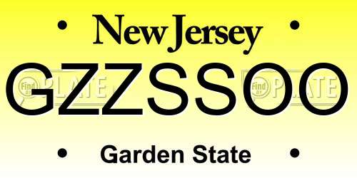 GZZSSOO New Jersey License Plate