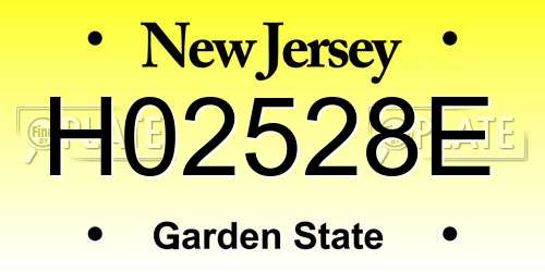 H02528E New Jersey License Plate