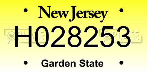 H028253 New Jersey License Plate