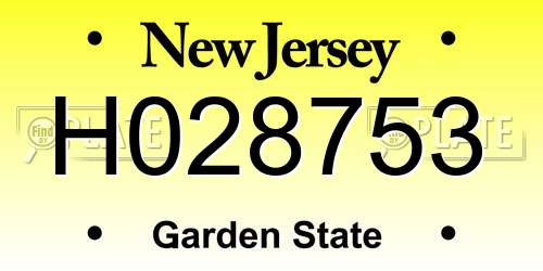 H028753 New Jersey License Plate