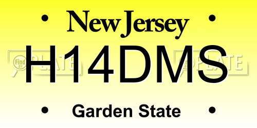 H14DMS New Jersey License Plate