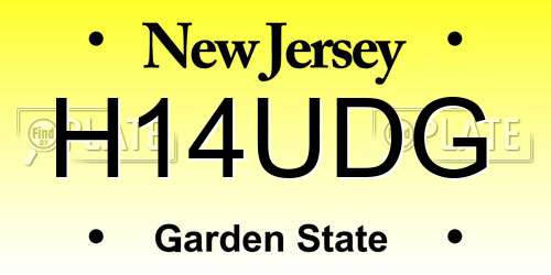 H14UDG New Jersey License Plate