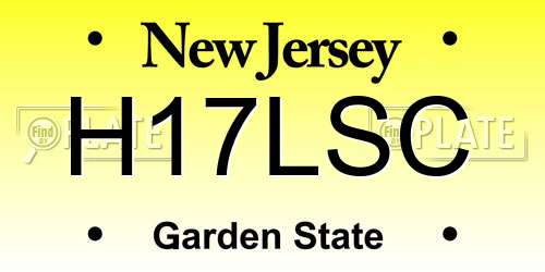 H17LSC New Jersey License Plate