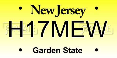 H17MEW New Jersey License Plate
