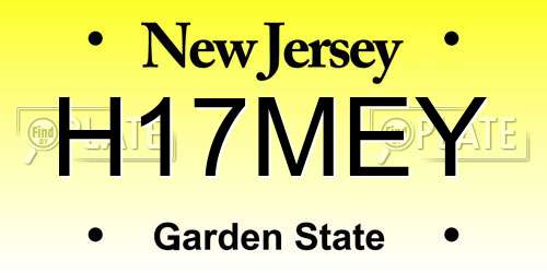 H17MEY New Jersey License Plate