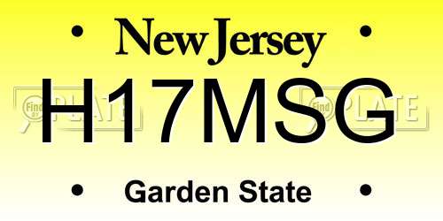 H17MSG New Jersey License Plate
