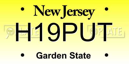 H19PUT New Jersey License Plate