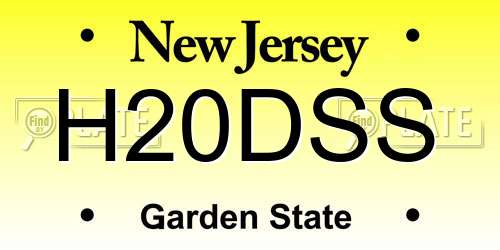 H20DSS New Jersey License Plate