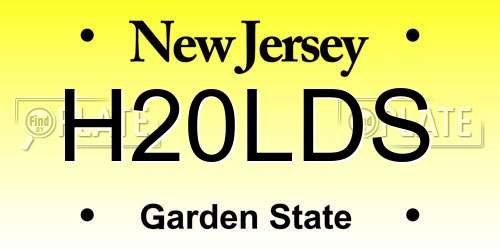 H20LDS New Jersey License Plate
