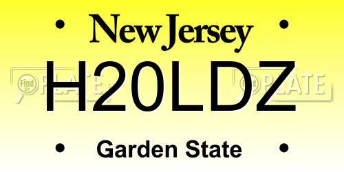 H20LDZ New Jersey License Plate
