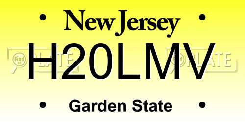 H20LMV New Jersey License Plate