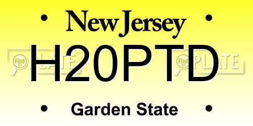 H20PTD New Jersey License Plate