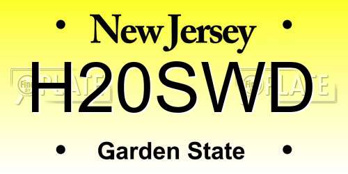 H20SWD New Jersey License Plate