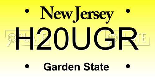 H20UGR New Jersey License Plate