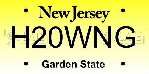 H20WNG New Jersey License Plate