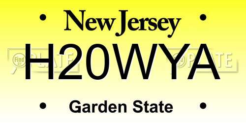 H20WYA New Jersey License Plate