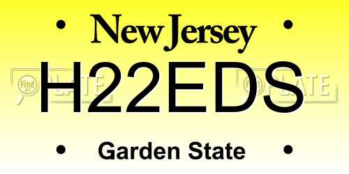 H22EDS New Jersey License Plate